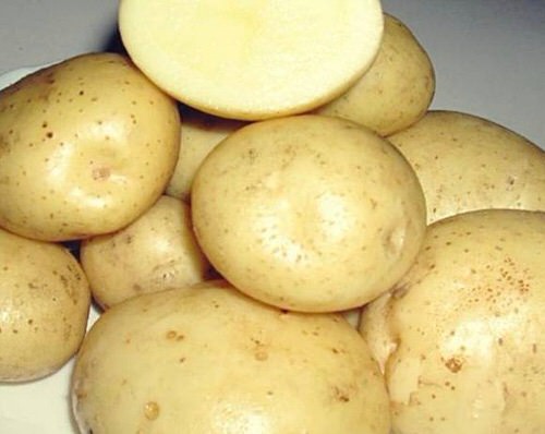 Картофель семенной Сантэ 2кг (Суперэлита)