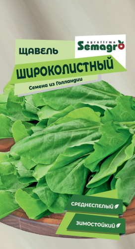 Щавель Широколистный