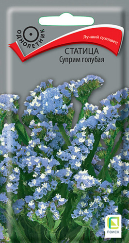 Статица Суприм голубая