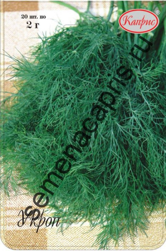 Укроп Кустистый/1шт