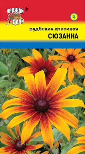 Рудбекия Сюзанна красивая 