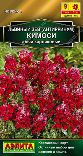 Львиный зев Кимоси алый карликовый