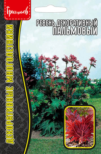 Ревень декоративный Пальмовый