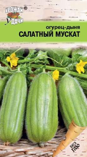 Огурец - дыня САЛАТНЫЙ МУСКАТ