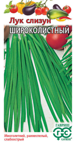 Лук (слизун) Широколистный 
