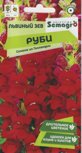 Львиный зев Руби