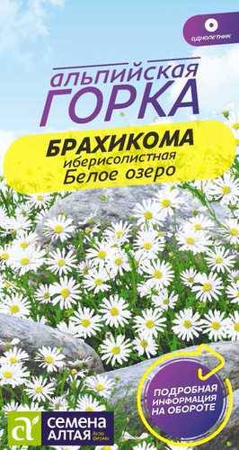 Брахикома Белое озеро Альпийская горка 