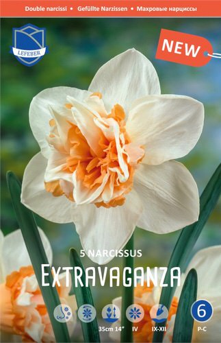 Нарцисс Экстраваганза /5шт