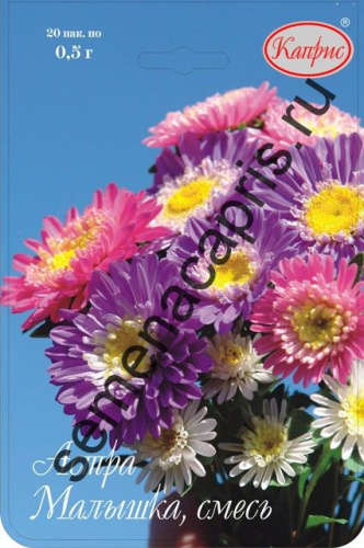 Астра смесь Малышка/1шт