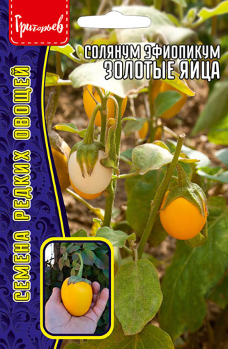 Солянум эфиопикум  Золотые Яйца