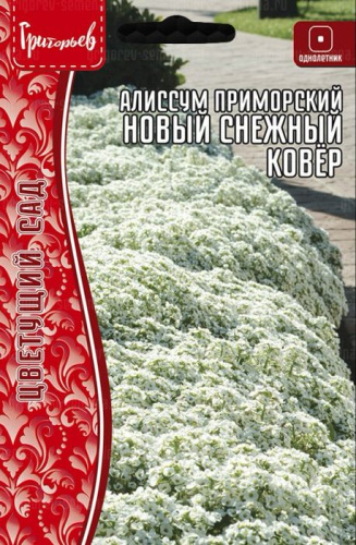 Алиссум Новый Снежный Ковёр приморский 