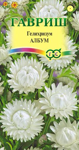 Гелихризум Албум 