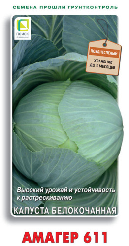 Капуста Амагер 611
