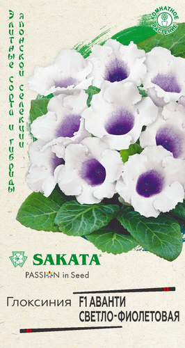 Глоксиния Аванти F1 Светло-фиолетовая