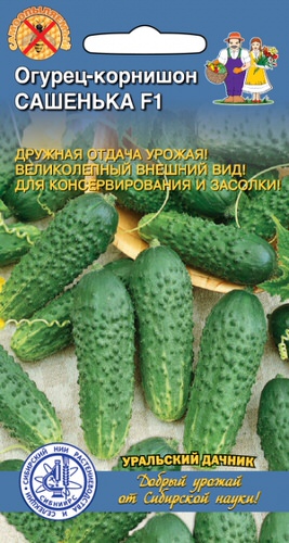 Огурец Сашенька F1 корнишон 