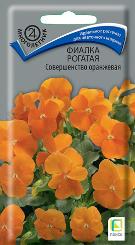 Фиалка рогатая Совершенство оранжевая