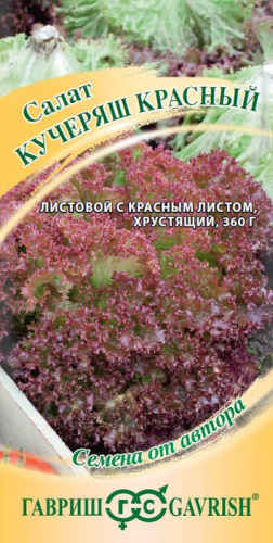 Салат Кучеряш красный автор.