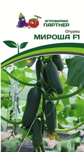 Огурец Мироша F1 