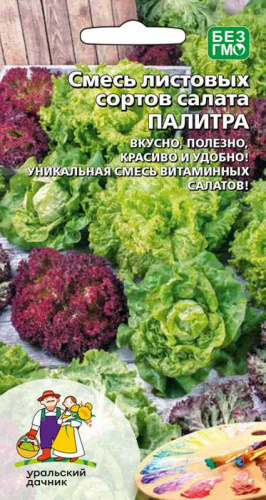 Салат лента Палитра листовых сортов, смесь 