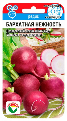 Редис Бархатная нежность