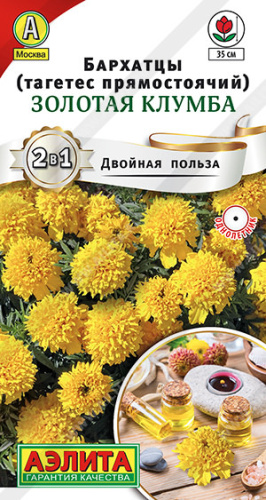 Бархатцы Золотая клумба прямостоячие