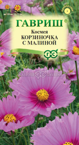 Космея Корзиночка с малиной