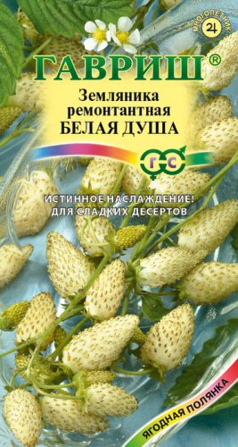Земляника Белая душа