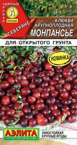 Клюква крупноплодная Монпансье Северяне