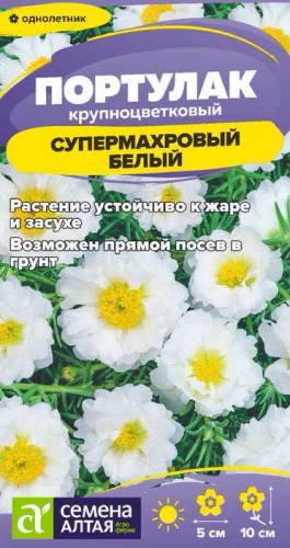 Портулак Супермахровый Белый 