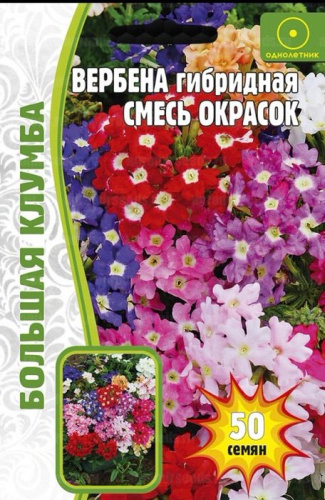 Вербена Гибридная, смесь 