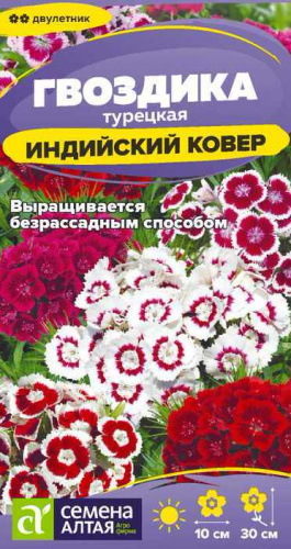 Гвоздика Индийский Ковёр турецкая