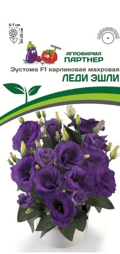 Эустома Леди F1 Эшли карлик. махр. лавандово-синяя