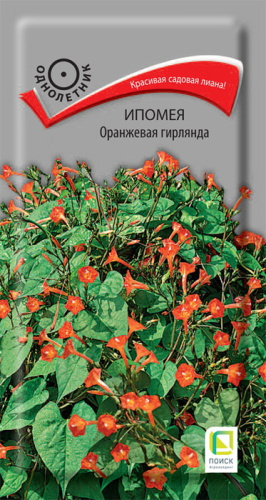 Ипомея Оранжевая гирлянда 