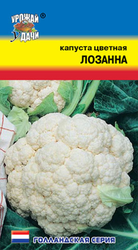 Капуста (цветная) Лозанна 