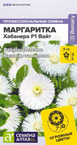 Маргаритка Хабанера F1 Вайт многол