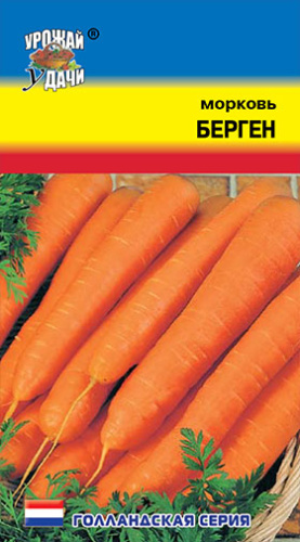 Морковь Берген 