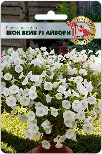 Петуния Шок Вейв F1 Айвори каскадная