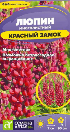 Люпин Красный замок многолистный