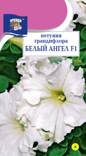 Петуния БЕЛЫЙ АНГЕЛ F1