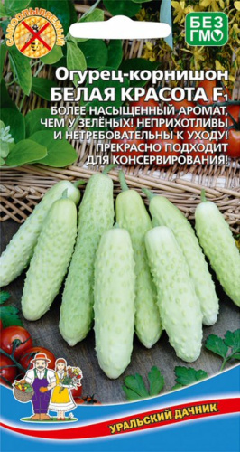 Огурец Белая красота