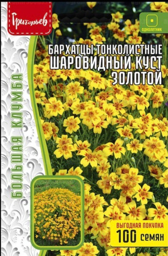 Бархатцы Шаровидный Куст Золотой тонколистные