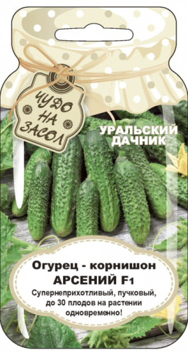 Огурец Арсений - корнишон F1 Банка
