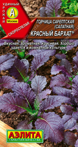 Горчица Красный бархат 