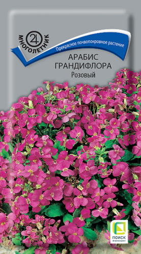 Арабис Розовый грандифлора