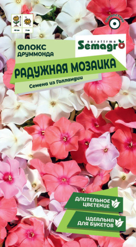 Флокс Друммонда Радужная мозаика 