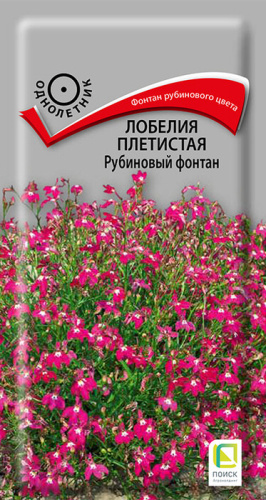 Лобелия Фонтан Рубиновый