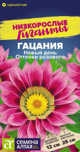 Гацания Новый день Оттенки розового 