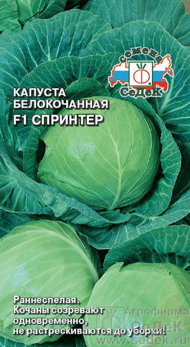 Капуста Спринтер F1 0