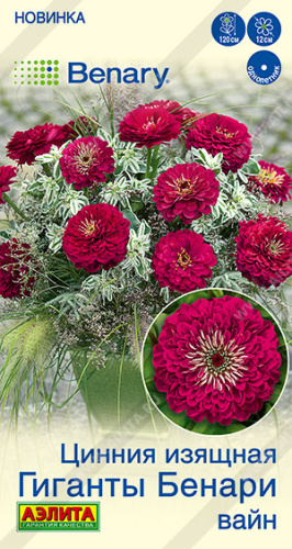 Цинния Гиганты Бенари вайн Benary