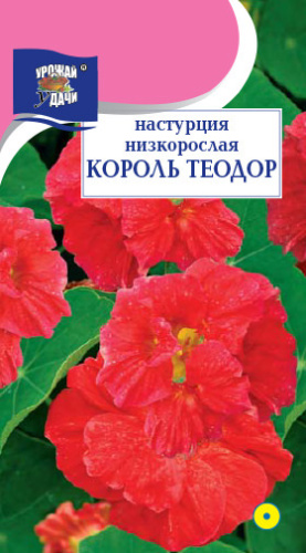 Настурция Король Теодор низкорослая 